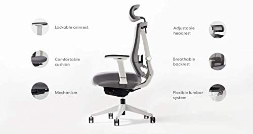 Autonomous ErgoChair