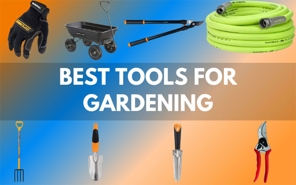 Best Tools for Gardening