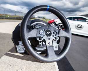 Thrustmaster T300